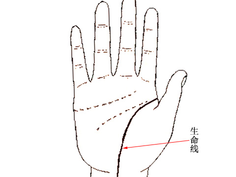 生命线分叉图解大全 起名网