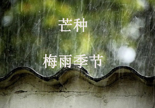 梅雨季节是什么时候梅雨季节注意事项 起名网