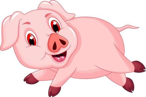 属猪是哪一年出生的图片